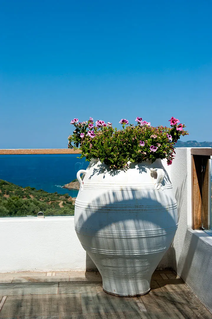 A white amphora planted with flowers against the sea