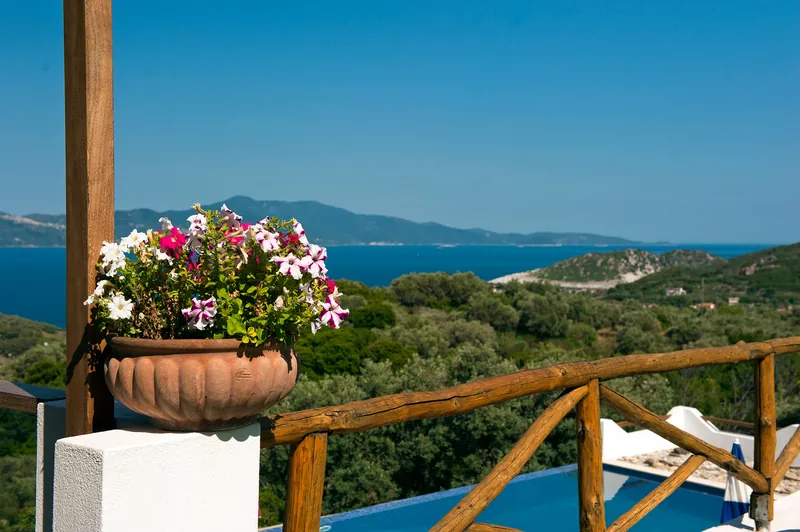 Flowers on the wooden railing, with the sea below