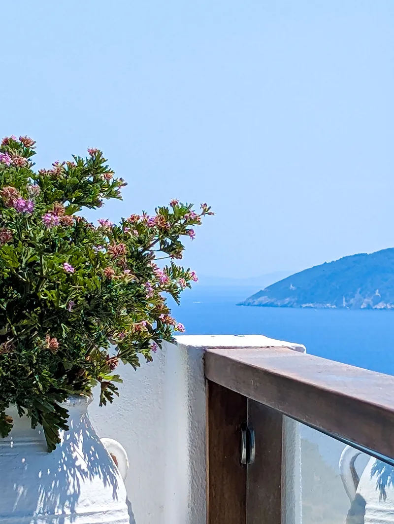 The sea and the coast from the balcony, framed by oleander